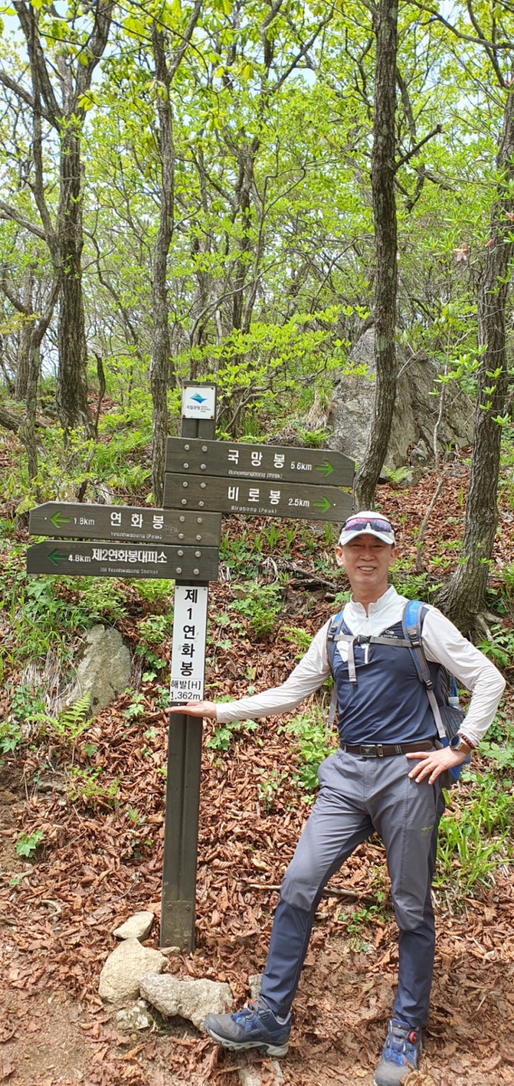  소백산 철쭉 산행, 비로봉, 연화봉, 국망봉