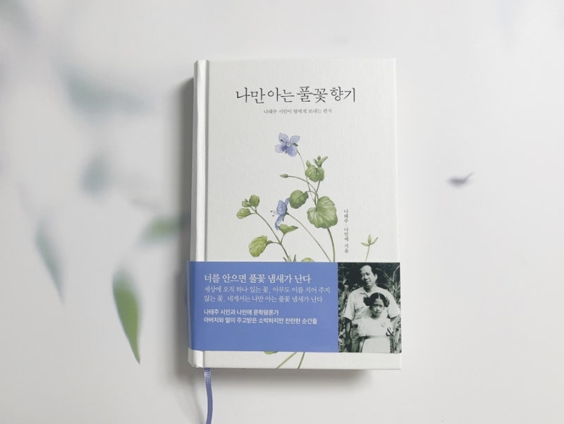 나태주 시인이 딸과 쓴 에세이 * 나만 아는 풀꽃 향기 : 네이버 블로그
