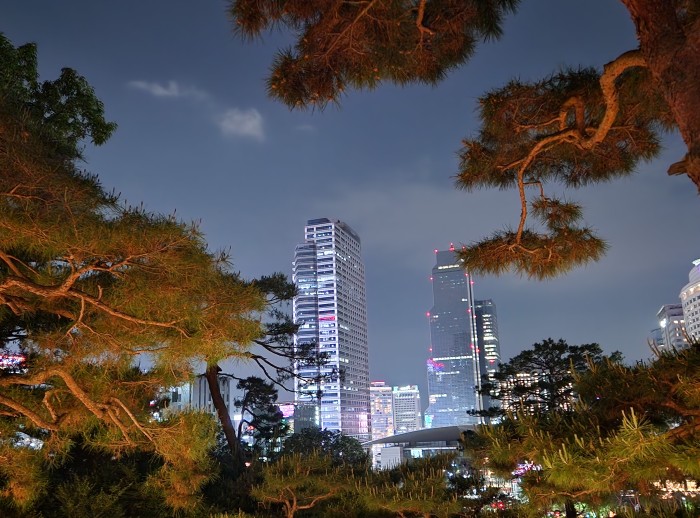  봉은사 명상길 개방 시간 정보. 도심속 힐링 산책 코스 추천(애견동반가능)