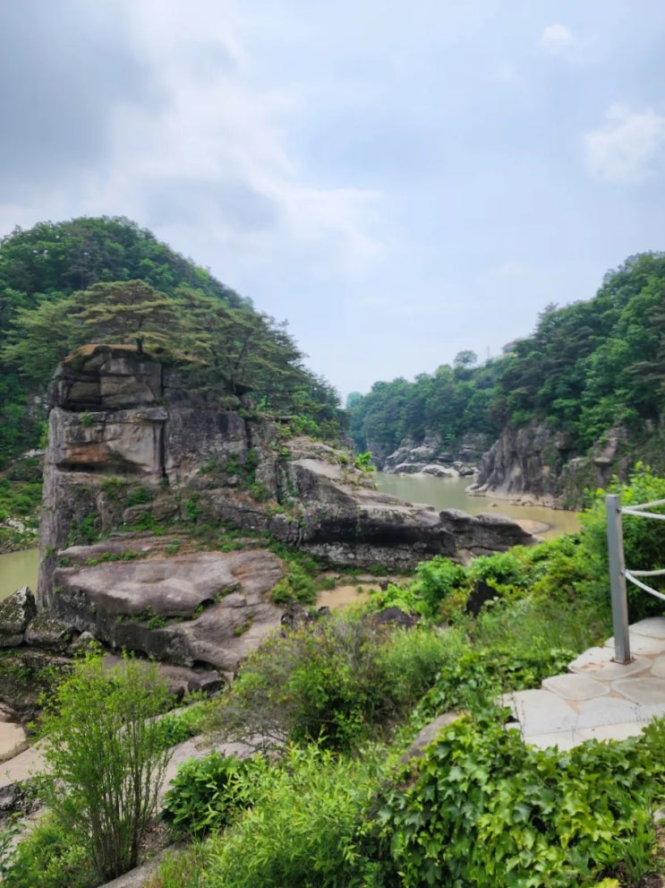  부동산경매의 배당순위 및 주의사항을 살펴보면