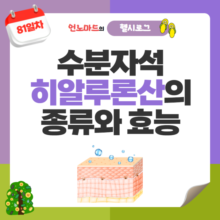  81일차, 수분자석 히알루론산의 종류와 효능