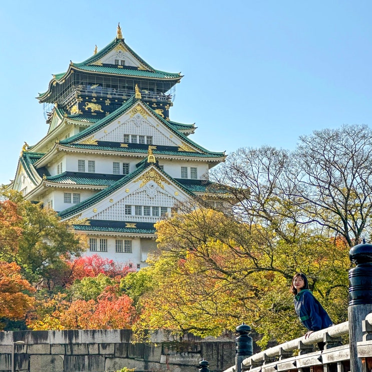 일본 오사카 교토 3박4일 여행 경비 가볼만한 곳 일정