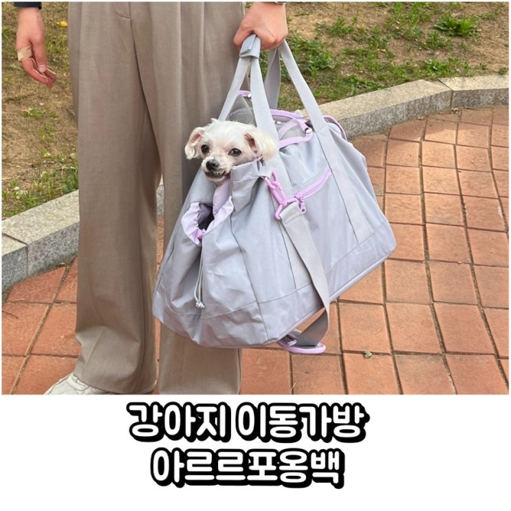  강아지 이동가방 아르르 포옹백
