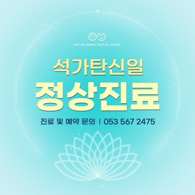 대구 석가탄신일 동물병원 정상진료 안내 : 24시라이프동물의료센터 대구 석가탄신일 동물병원 정상진료 안내 : 24시라이프동물의료센터