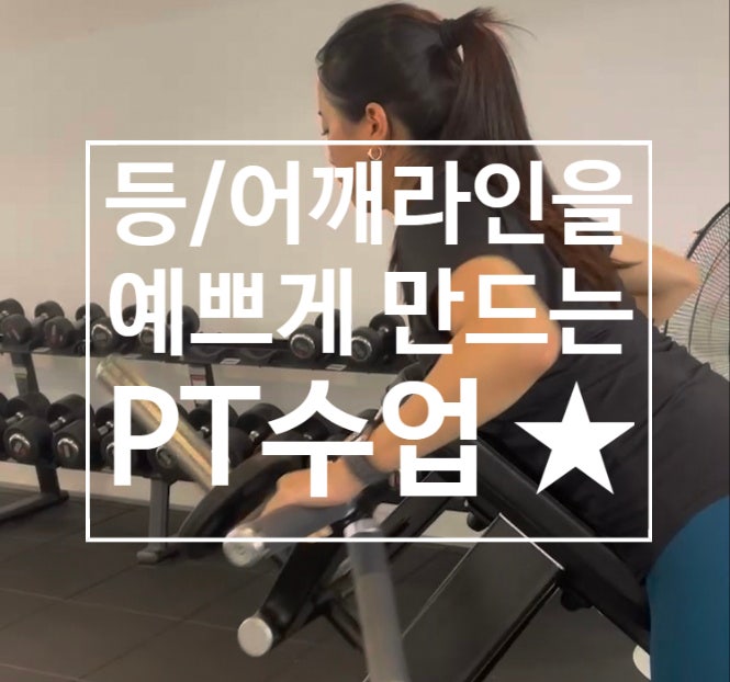  [탄현 헬스][탄현 헬스장][탄현 pt] 등/어깨라인을 예쁘게 만드는 PT수업 