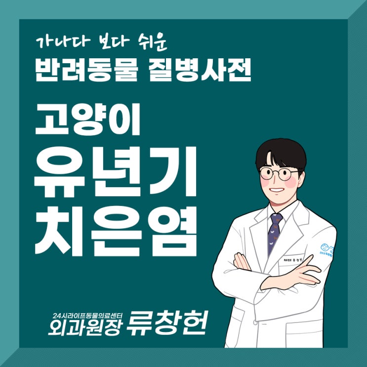 고양이 이갈이시기의 입냄새 주의해야할 치과질환 : 고양이 유년기 치은염