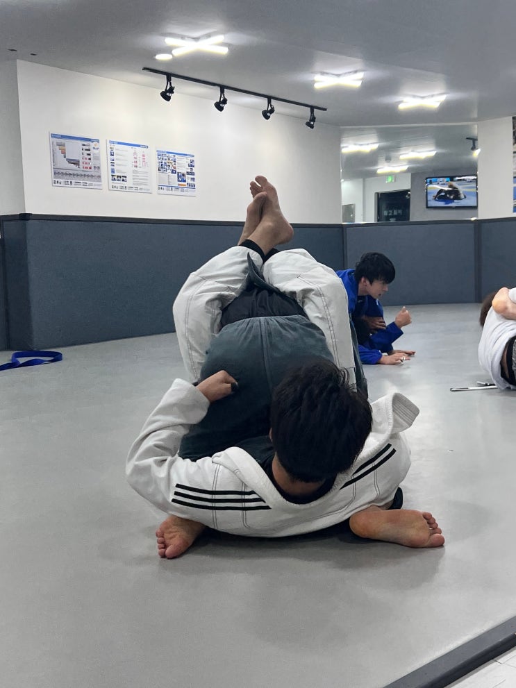  팀다이노 주짓수, 5월의 일상!