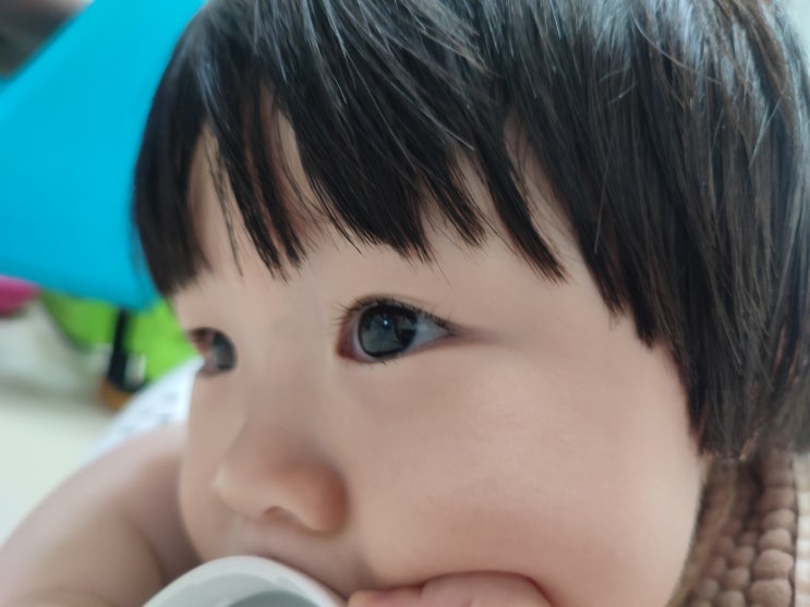  11개월 아기 성장 기록 (~360일) : 밥태기 극복 방법