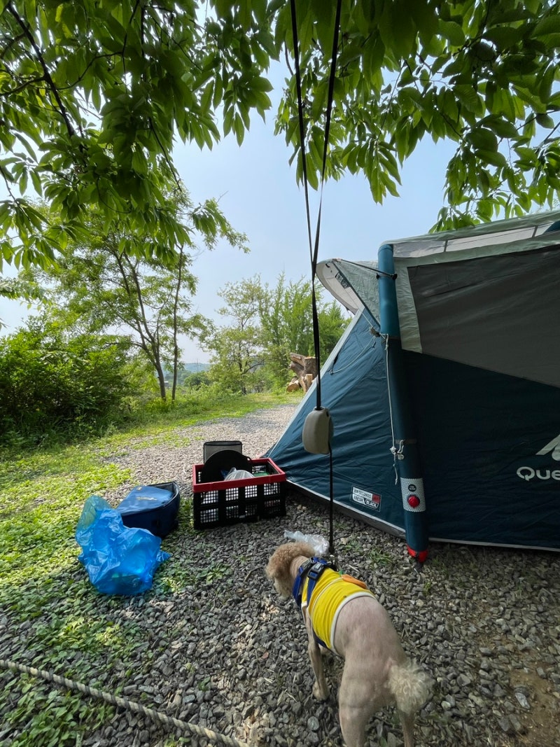 데카트론 텐트 4.1피칭하고 왔어요 첫 캠핑 : 네이버 블로그