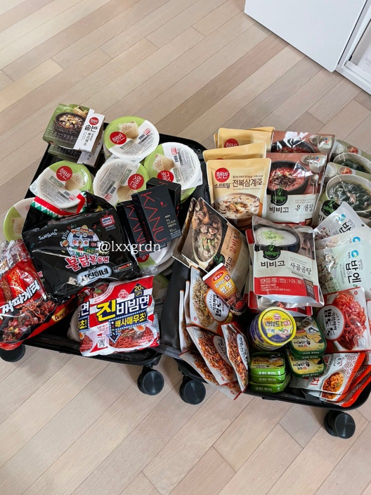  스위스 4인 가족여행 / 한식 준비물 챙기기(feat. 캐리어 23kg)