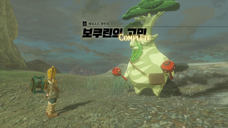  젤다의 전설: 왕국의 눈물(왕눈) 공략 [보쿠린 위치 - 가방 칸 늘리기]