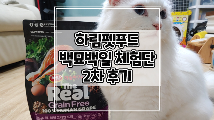  하림펫푸드 더리얼 캣 그레인프리 백묘백일 생생 체험단 2차 후기