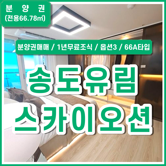  [분양권] 부산 송도유림스카이오션더퍼스트 66A 무피 1년무료조식 생숙 옵션3추가
