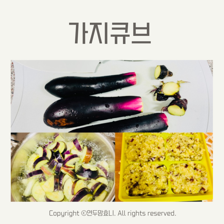 가지큐브 아기 중기이유식 야채큐브 만들기 가지큐브 아기 중기이유식 야채큐브 만들기