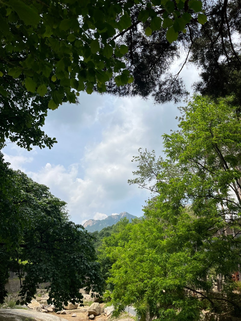 [북한산 초보코스/북한산 산책]북한산 둘레길 1구간 소나무숲길(3.1km,1시간)