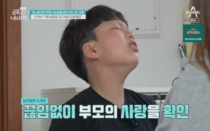 금쪽같은 내새끼 147회 리뷰, 유기불안 발모광 원인 치료(국토부 서기관,금쪽이 거식증)
