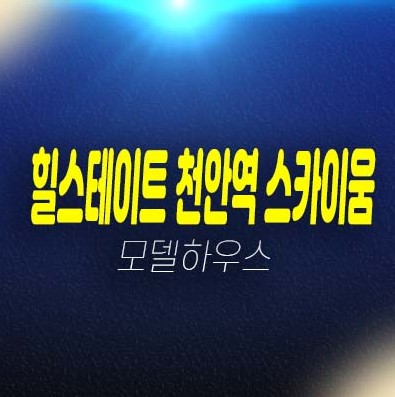 힐스테이트 천안역 스카이움 성정동 초고층 미분양아파트분양 현대건설 분양가/평단가 평형타입 잔여세대 분양사무실 현장 투자 신규 부동산 상품! 힐스테이트 천안역 스카이움 성정동 초고층 미분양아파트분양 현대건설 분양가/평단가 평형타입 잔여세대 분양사무실 현장 투자 신규 부동산 상품!