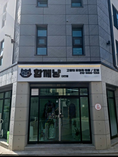  함께냥 오시는길