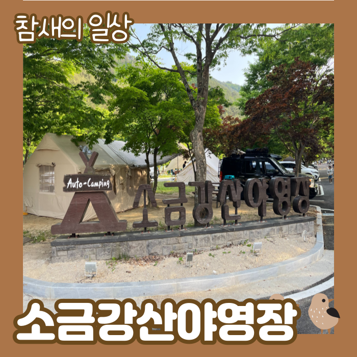 강원도 강릉 소금강자동차야영장, 맑은 계곡/카라반 대여
