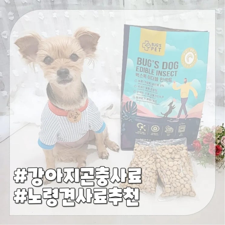  강아지 곤충사료 노령견 피부각질 고민에 선택한 밀웜사료 벅스독