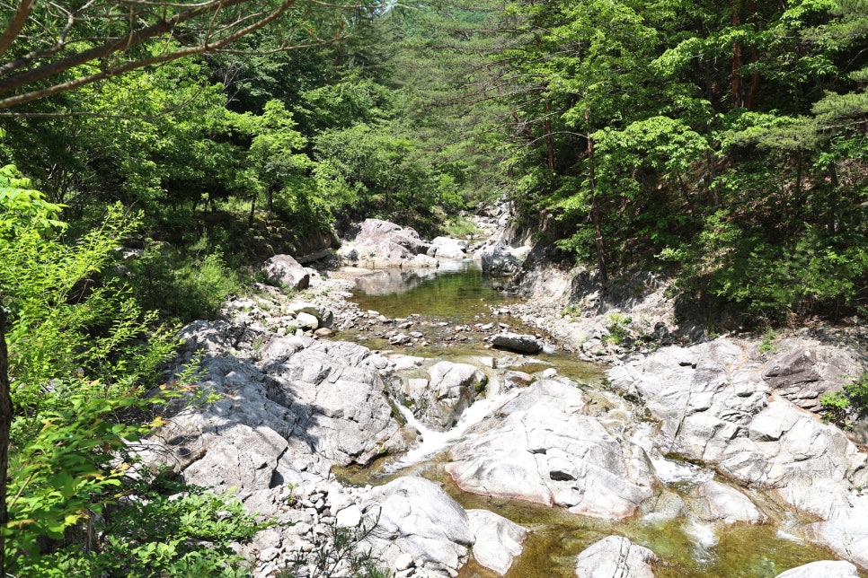 선골 사진 2