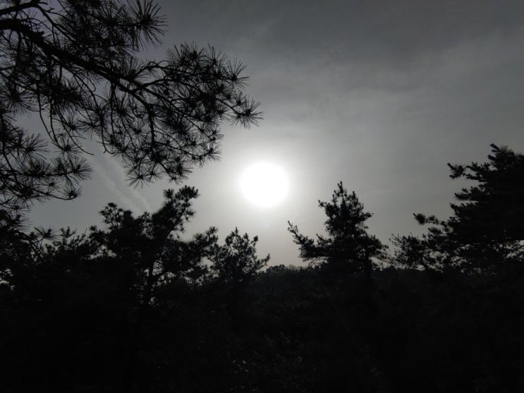 오늘 오후 햇살과 어우러진 일몰을 보며 망현산을 거닐다 오늘 오후 햇살과 어우러진 일몰을 보며 망현산을 거닐다