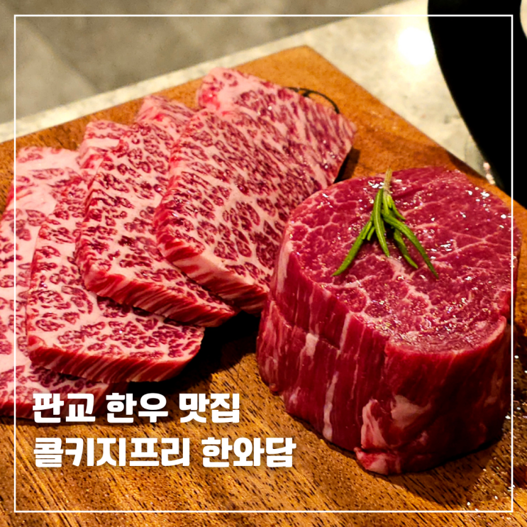  판교 고기집 콜키지프리 한우 맛집 한와담 안심 살치살