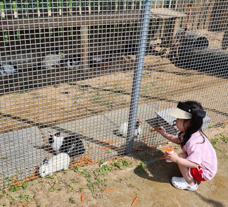 피크닉하우스 토끼 먹이주기 인천 아기랑 갈만한 곳