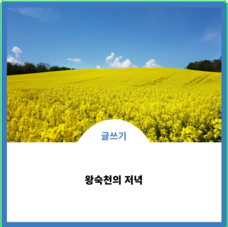  유채꽃을 보며 거닐었던 왕숙천의 저녁