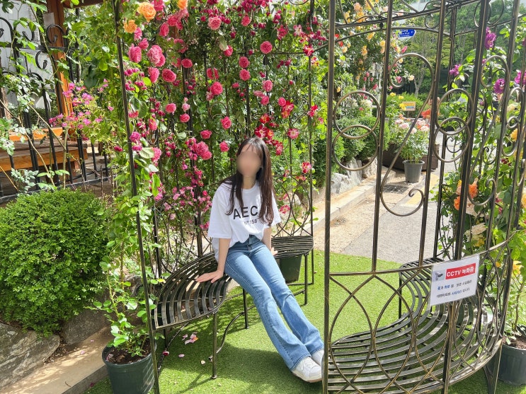 인스턴트펑크 부츠컷청바지 여름과 어울리는 시원한 스카이블루 컬러