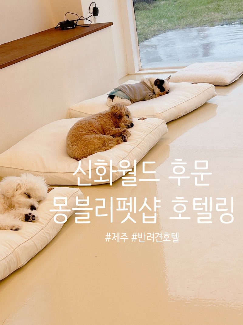 사진 3