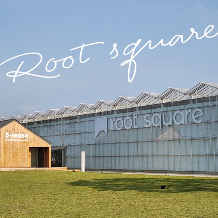  진천 뤁스퀘어(root square)