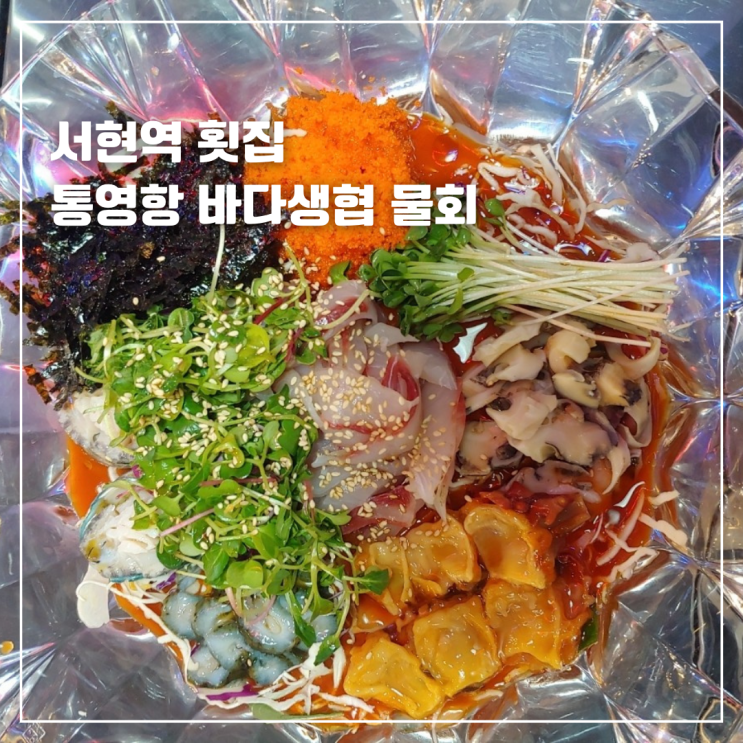  분당 서현역 횟집 통영항 바다생협 물회 고등어구이