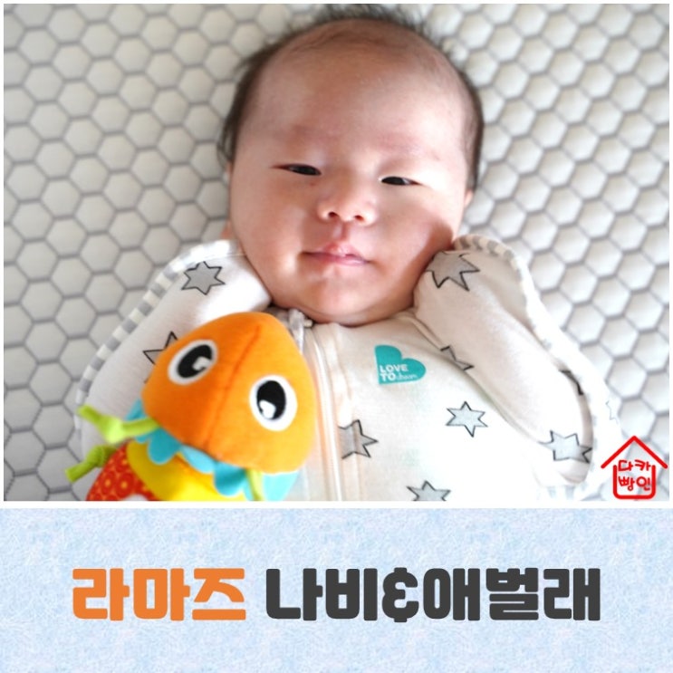  라마즈 나비 애벌레 선물세트 첫 장난감