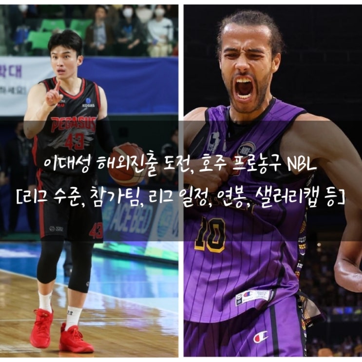 호주 <b>프로농구</b> NBL [수준, 참가팀, 리그 일정, 연봉, <b>샐러리캡</b>... 