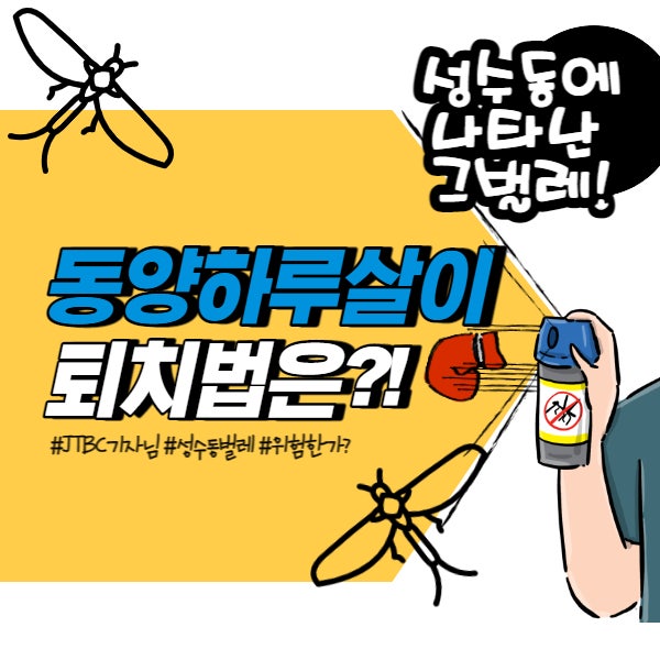 성수동 동양 하루살이 퇴치법은? jtbc 기자님 짱 성수동 동양 하루살이 퇴치법은? jtbc 기자님 짱