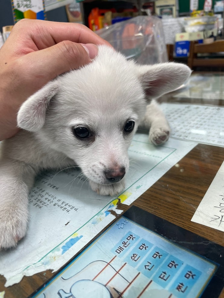  ~23/05/21 힘빠지는 주간일기장