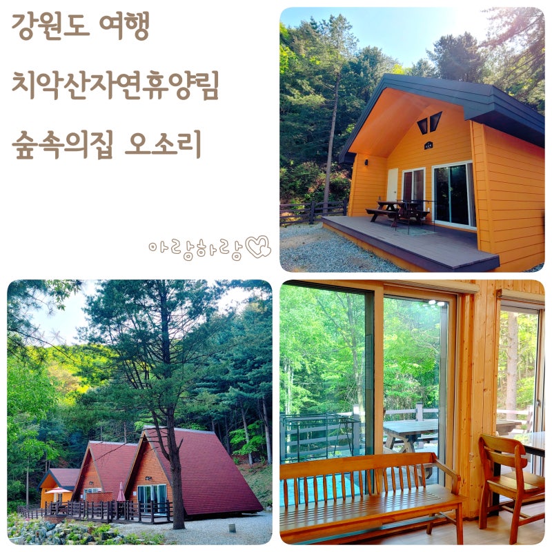 원주 숙소 치악산 자연휴양림 숲속의집 오소리