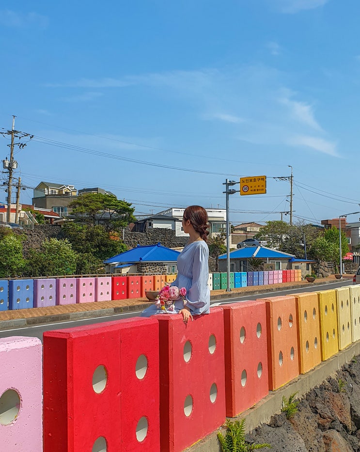  제주 동쪽 SNS 핫플 알록달록 무지개다리 '새물깍' 포토존