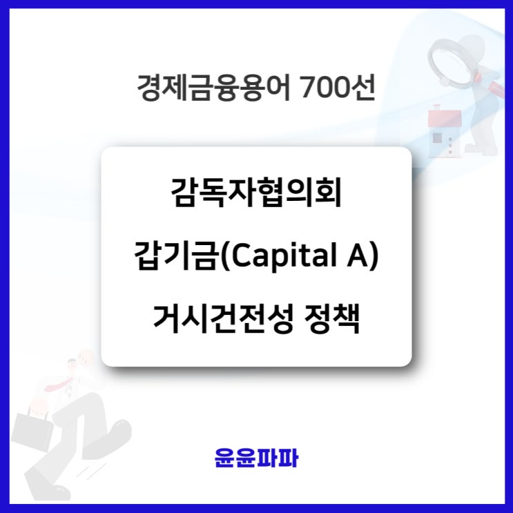  감독자협의회, 갑기금, 거시건전성 정책