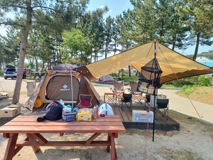  강원도 고성군 백도 오토캠핑장 해변가 캠핑기...