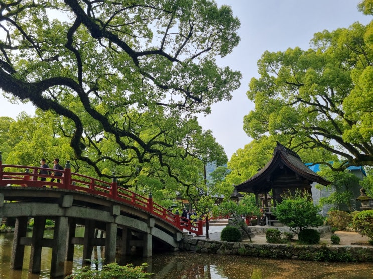  후쿠오카 여행 / 하카타에서 다자이후 (인천공항 환전, 유심, 스카이 허브 라운지, 지하철 패스, 후지우나, 도미 인 하카타, 다자이후, 링고, 캐널시티 분수쇼, 마에다야)