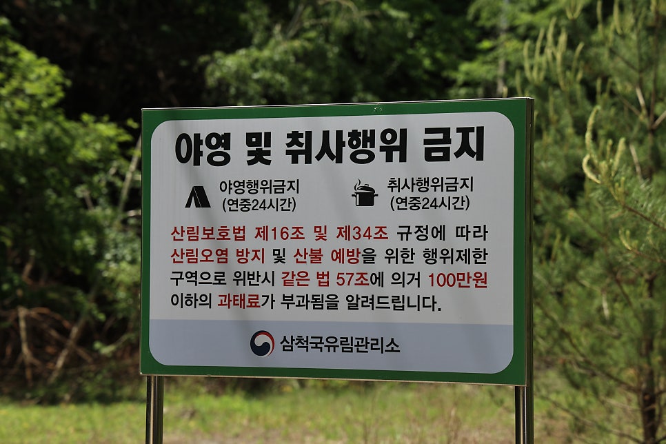 선골 사진 6