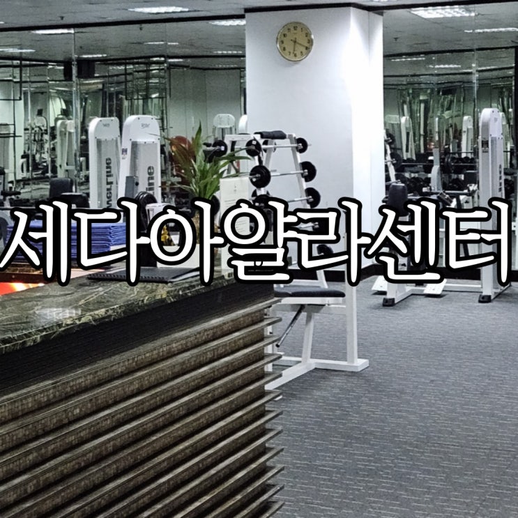  세다아얄라센터 헬스장, 사우나, 샤워시설 (Seda Ayala Center Cebu)