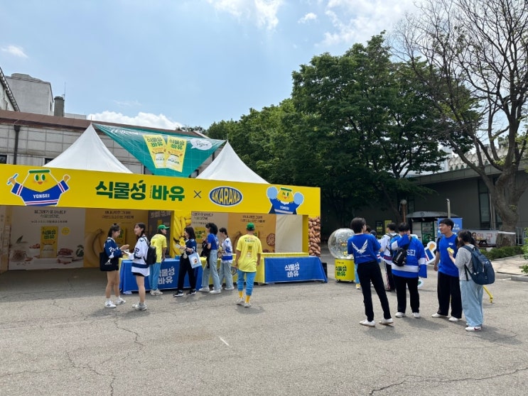 연세대 <b>아카라카</b> 바유 ~