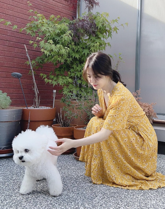  송혜교가 선택한 40대 패션에서 꽃무늬 패턴의 반팔 lap 원피스