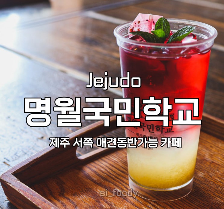  제주 명월국민학교 애견동반 가능 카페