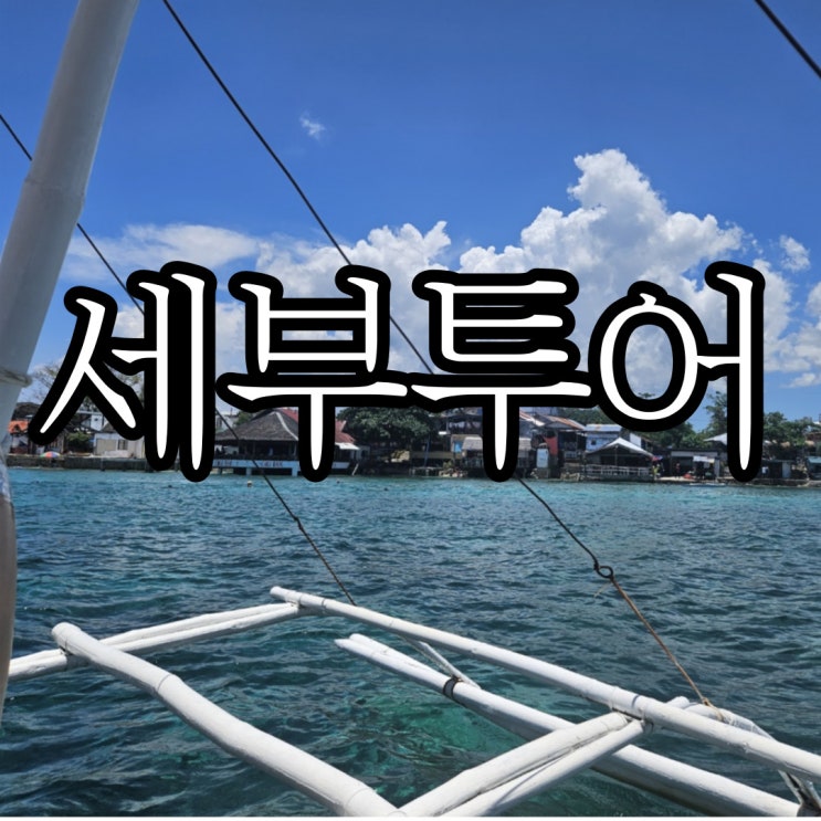  세부자유여행  막탄공항에서 바로 시작한 고래상어+모알보알호핑 단독투어 세부투어후기