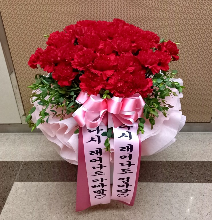  어버이날 카네이션 배달 상품 도자기 화분에 꽂아서 배송해 드렸습니다[일산 꽃집, 주엽 꽃집, 킨텍스 꽃집, 주엽 플라워]