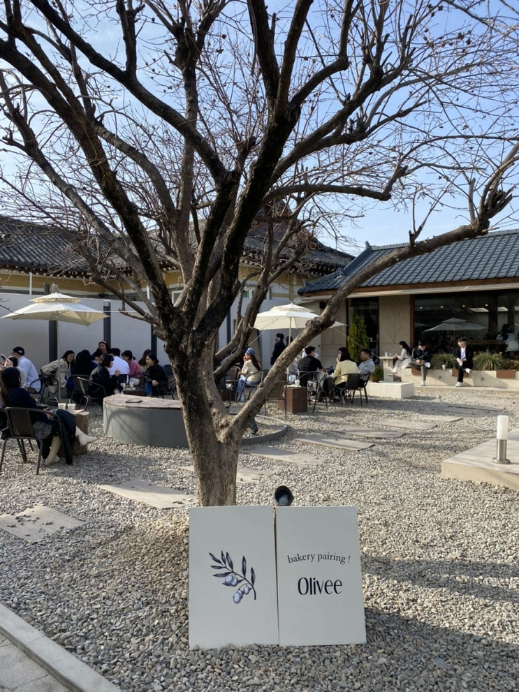  Olivee 카페/ 경주 황리단길 핫플 / 올리브카페 /